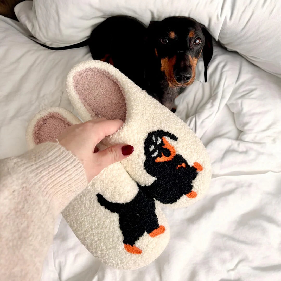 Cat & Dog Plush Slippers